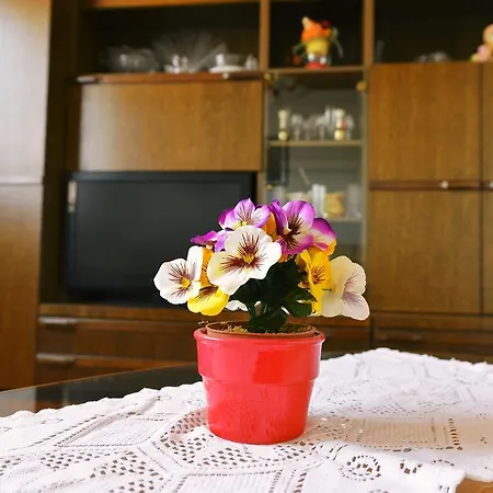 Apartamento Peteani *